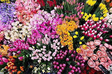 《银白钢铁伊克斯 2》今日全平台发售 官方发布特别版纪念视频